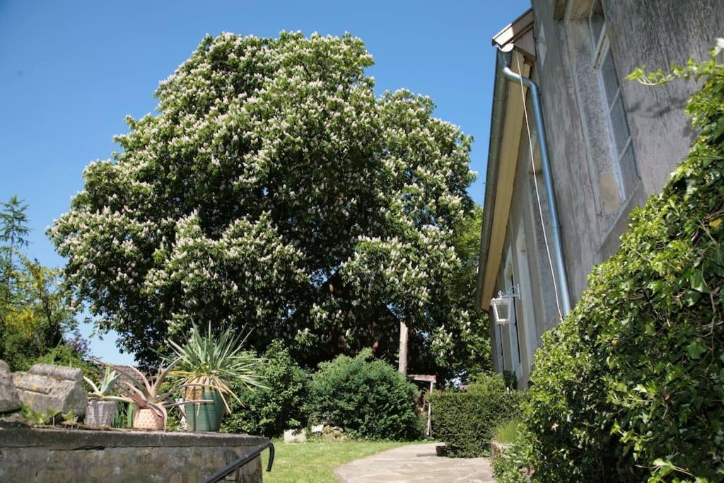 Haus Keppelborg: Zi Ferdinand Mit Rosengartenblick Heek Kültér fotó